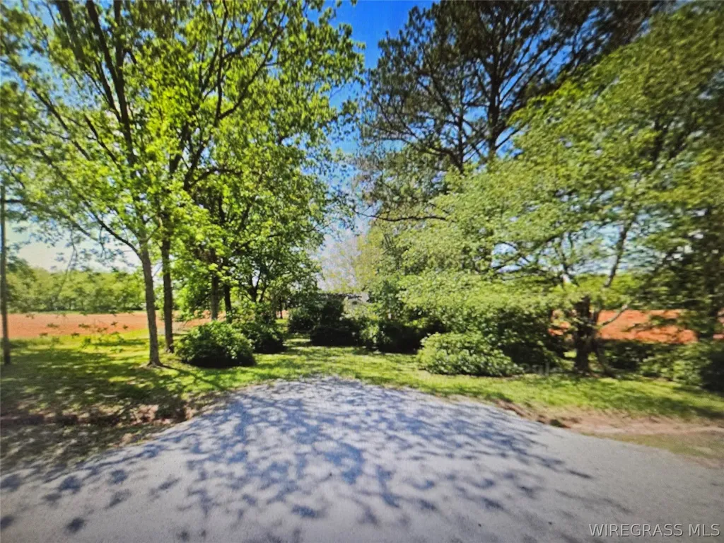 11166 Luverne Highway Greenville AL 36037