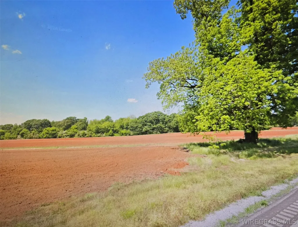11166 Luverne Highway Greenville AL 36037