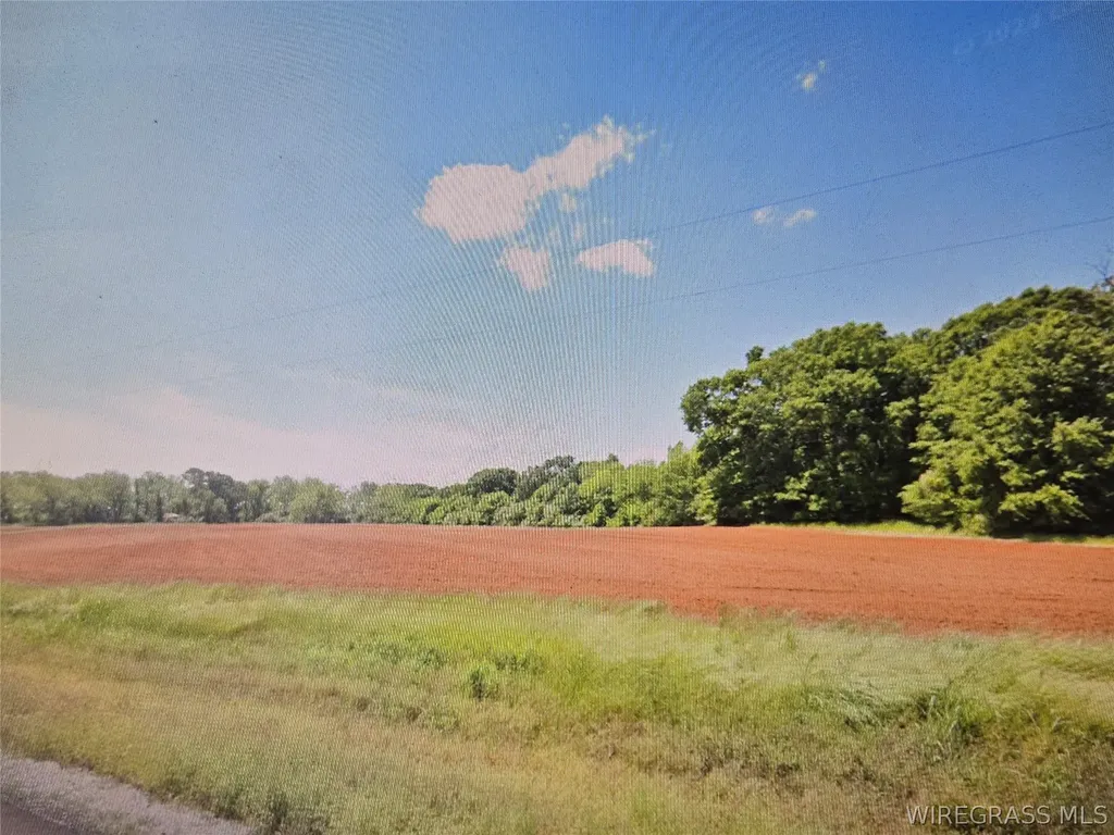 11166 Luverne Highway Greenville AL 36037
