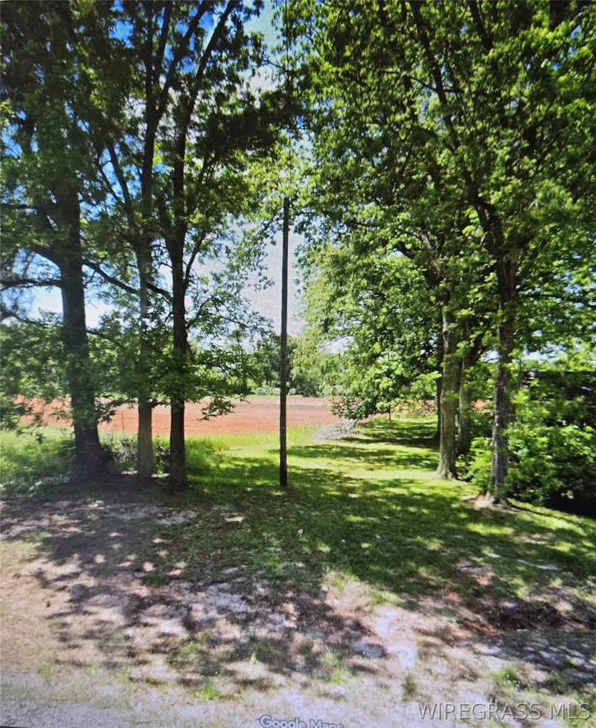 11166 Luverne Highway Greenville AL 36037