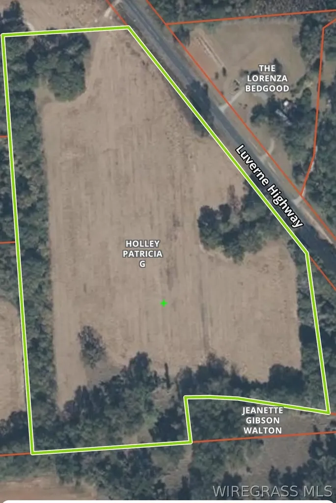 11166 Luverne Highway Greenville AL 36037