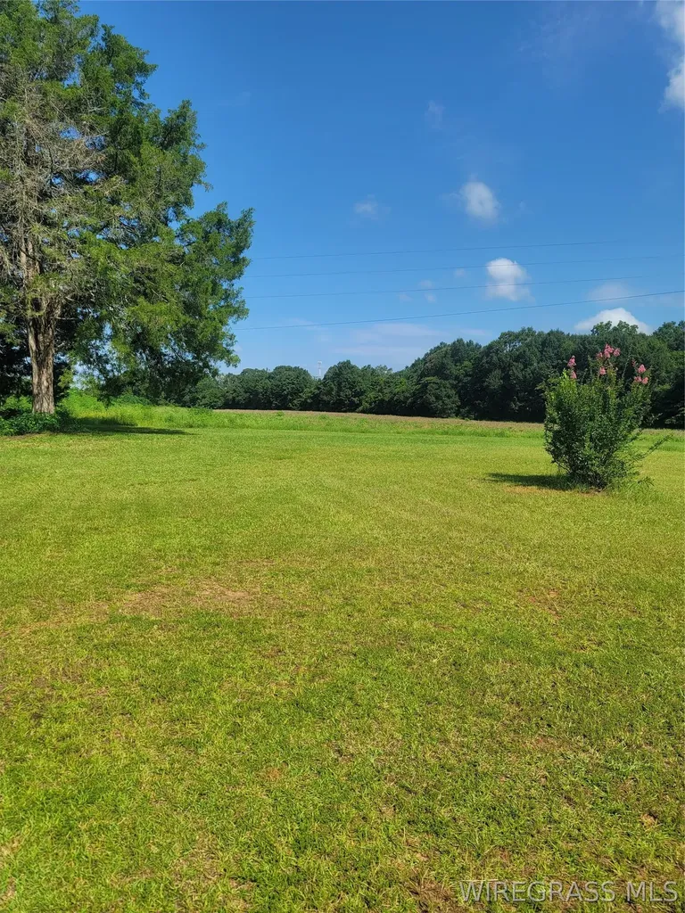 107 Coppinville Road Enterprise AL 36330