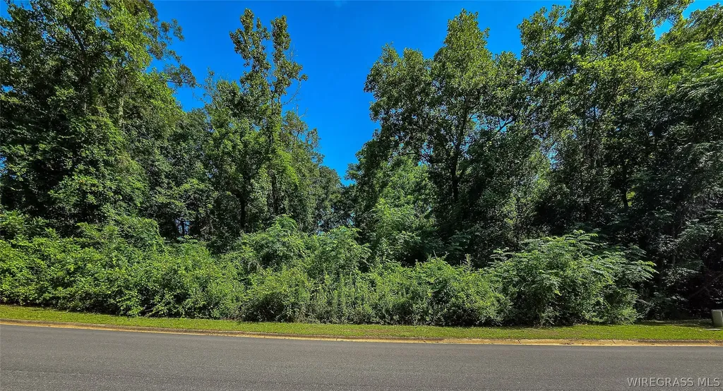 Enterprise AL, 97 Lake Oak Ridge Drive