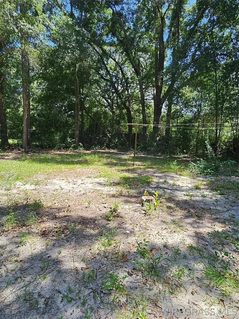 314 E Smith Avenue Geneva AL 36340