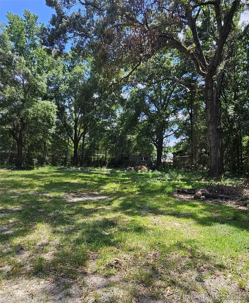 314 E Smith Avenue Geneva AL 36340