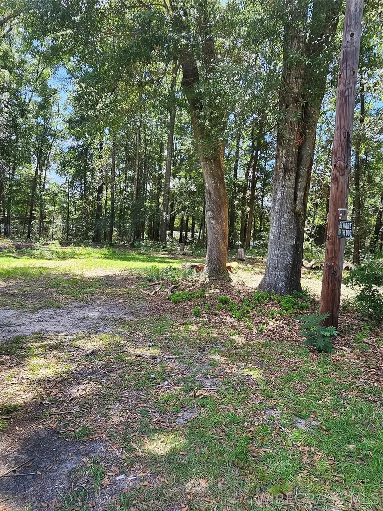 314 E Smith Avenue Geneva AL 36340