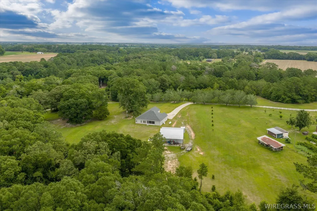 1207 County Road 1 Daleville AL 36322