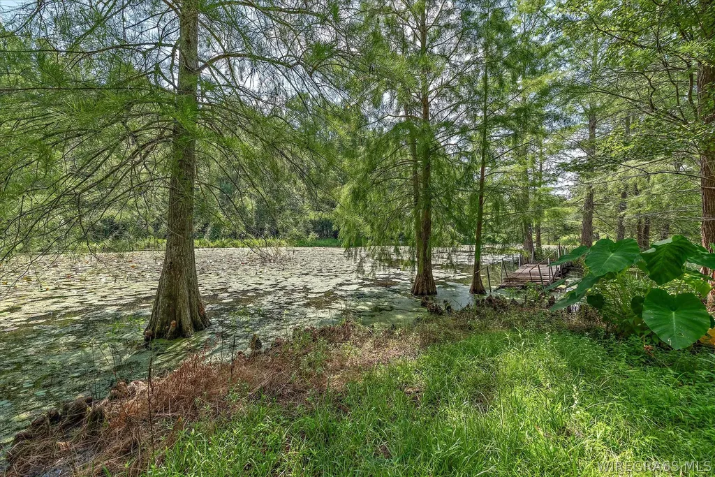 7257 State Highway 153 Samson AL 36477