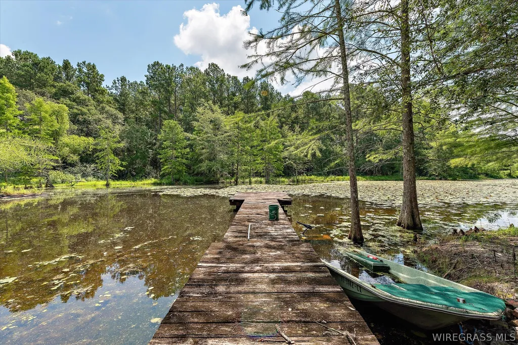 7257 State Highway 153 Samson AL 36477