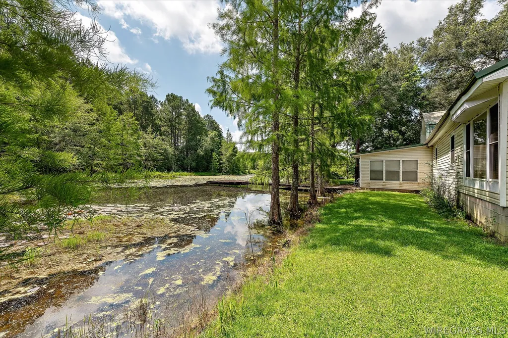 7257 State Highway 153 Samson AL 36477