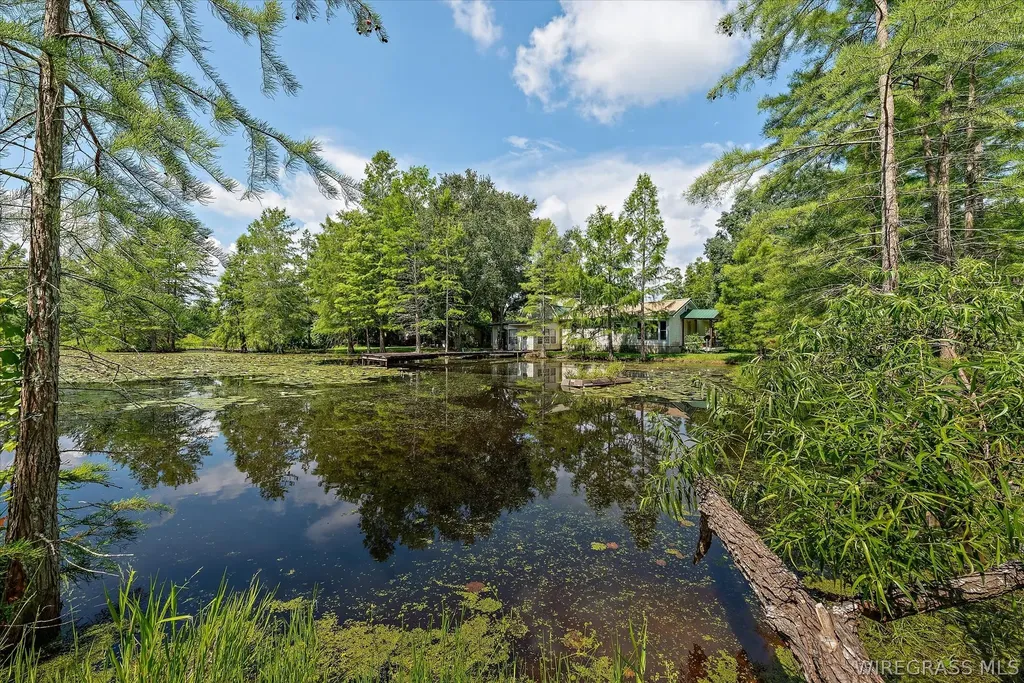 7257 State Highway 153 Samson AL 36477