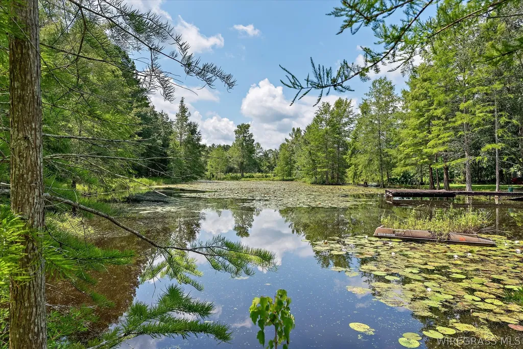 7257 State Highway 153 Samson AL 36477