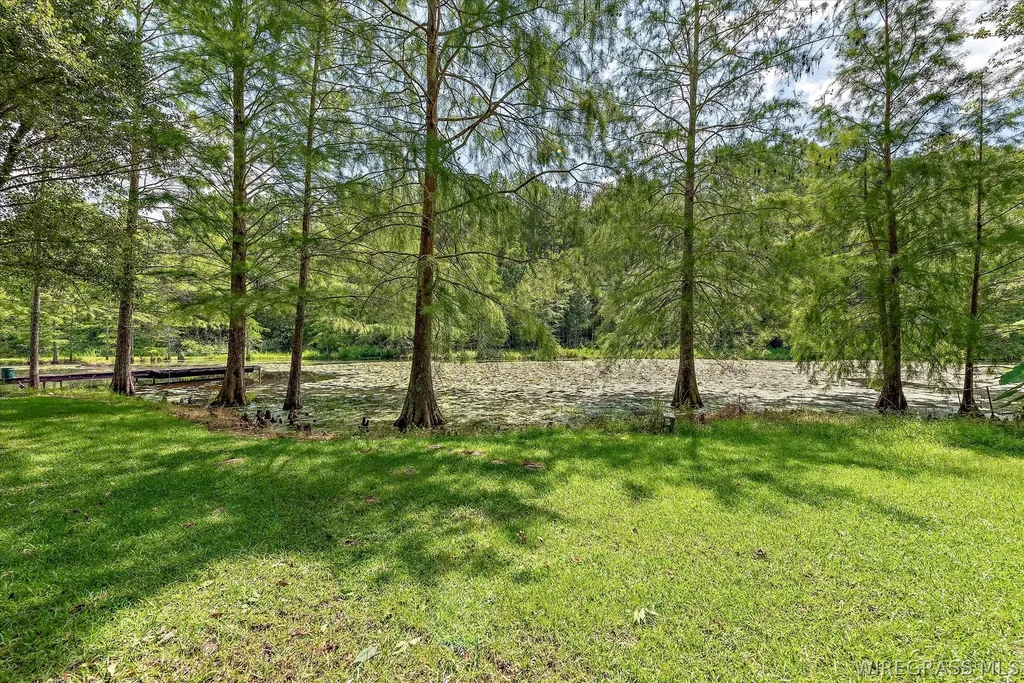 7257 State Highway 153 Samson AL 36477