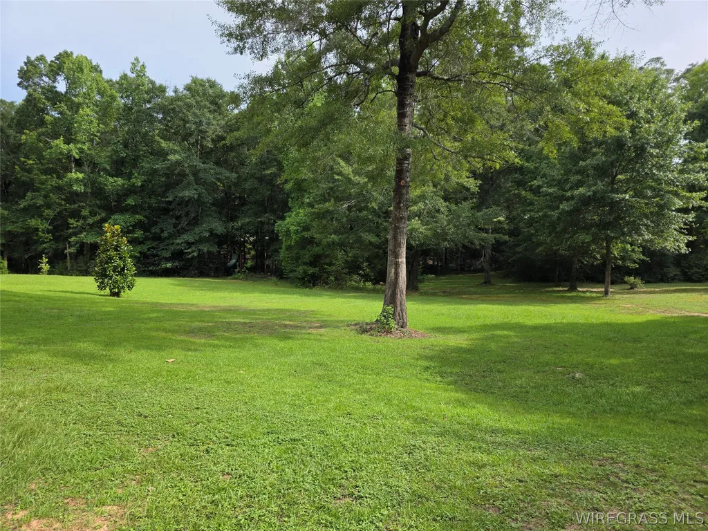 1730 Roy Parker Road Ozark AL 36360