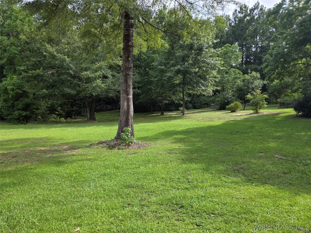 1730 Roy Parker Road Ozark AL 36360