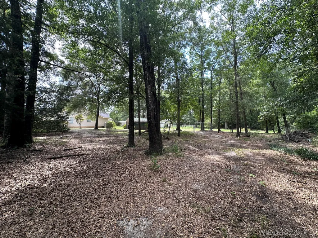 125 Collins Drive Ozark AL 36360