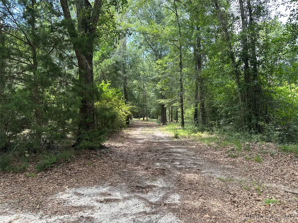 125 Collins Drive Ozark AL 36360