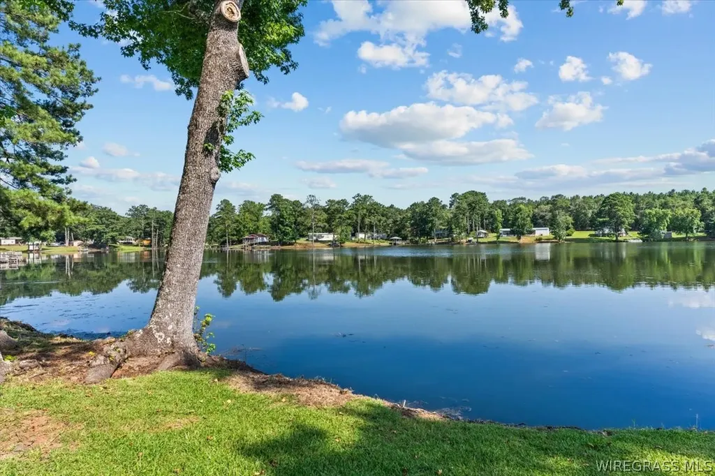 236 Windsor Lake Road Chancellor AL 36316