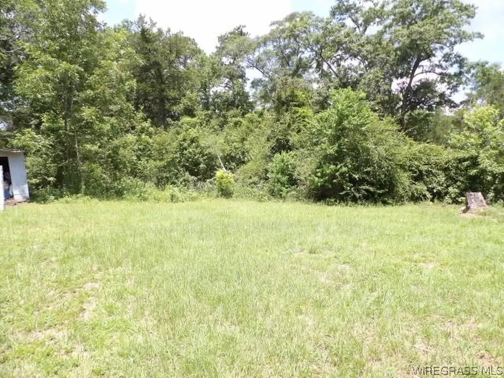 1705 County Road 119 Abbeville AL 36310