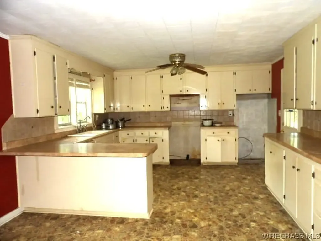 1705 County Road 119 Abbeville AL 36310