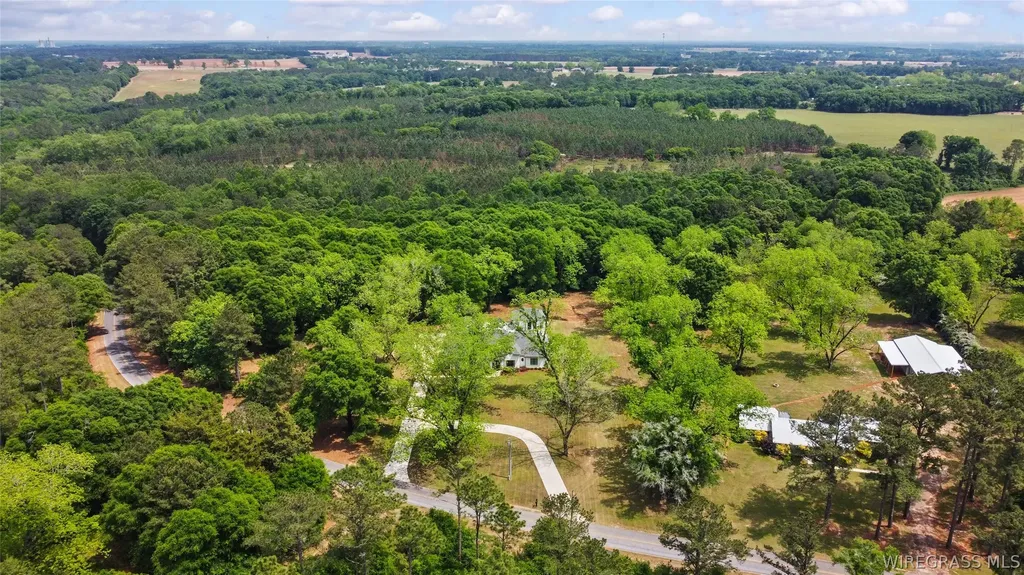 1601 Spring Street Newton AL 36352