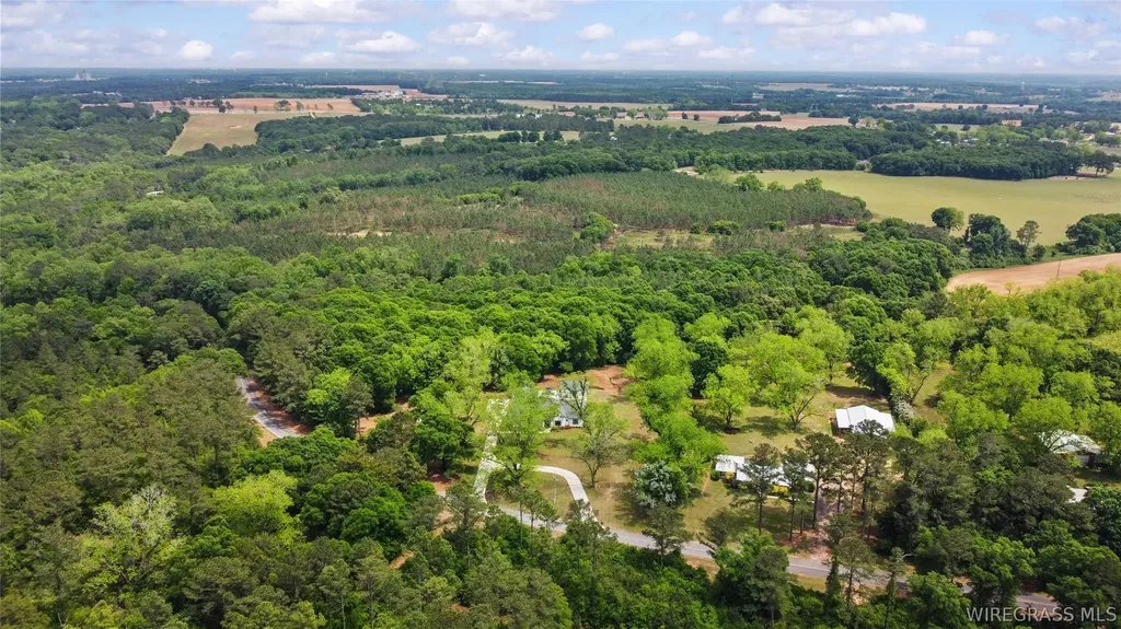 1601 Spring Street Newton AL 36352