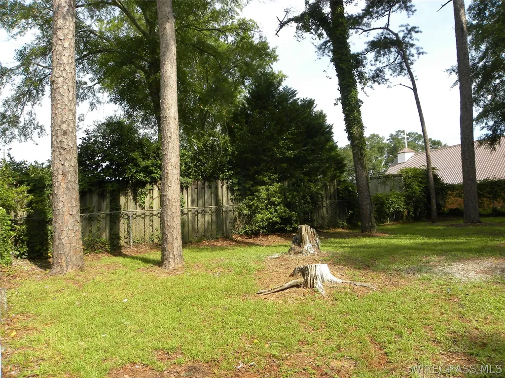 135 Dixie Drive Ozark AL 36360
