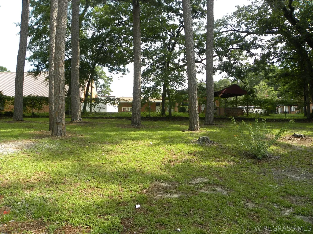 135 Dixie Drive Ozark AL 36360