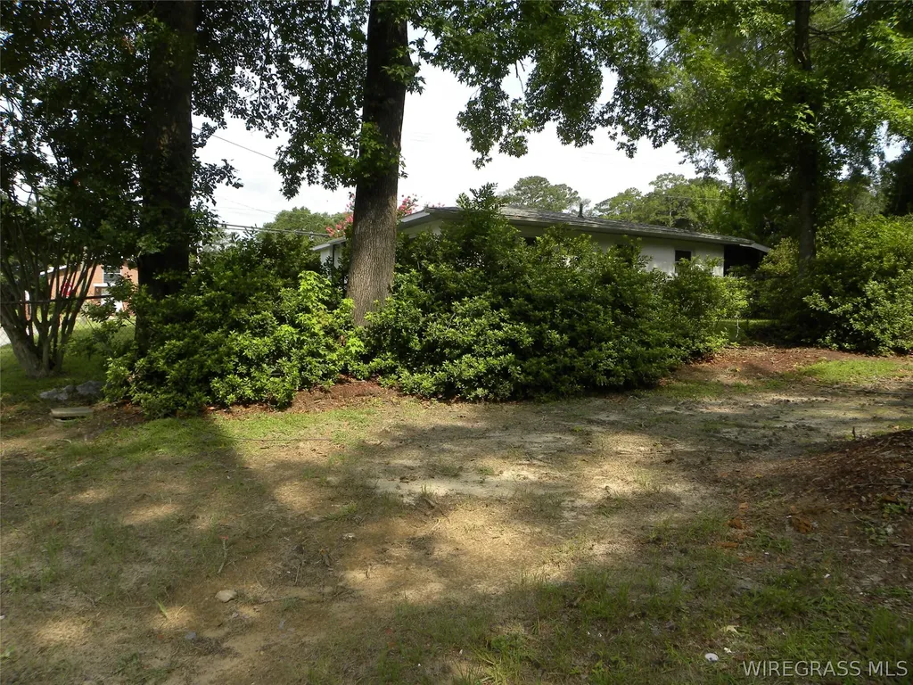 135 Dixie Drive Ozark AL 36360