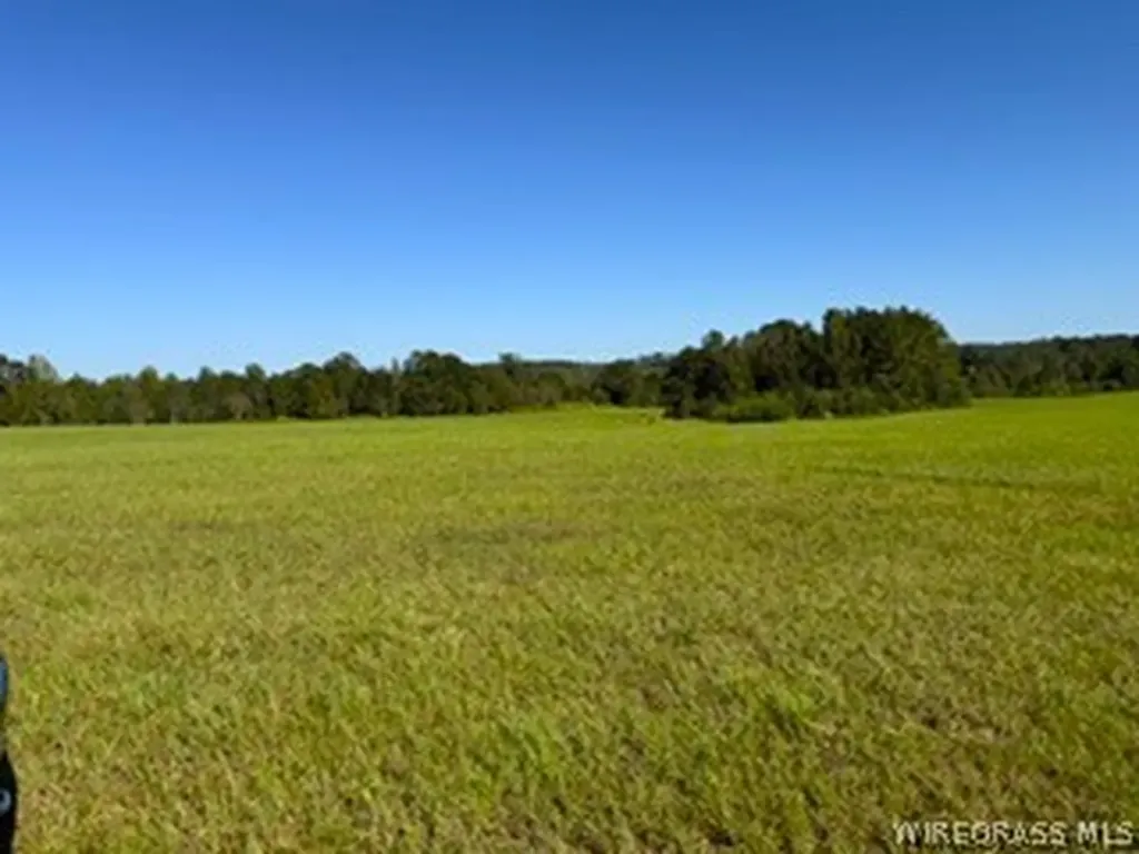30341 Cool Springs Road Opp AL 36467