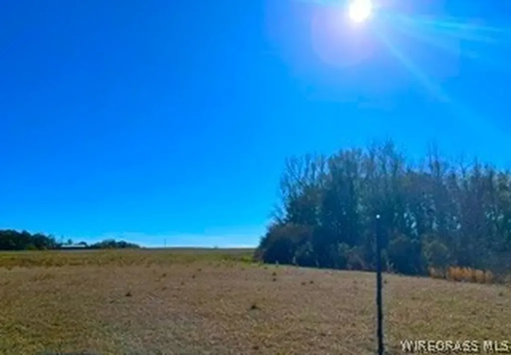 30341 Cool Springs Road Opp AL 36467