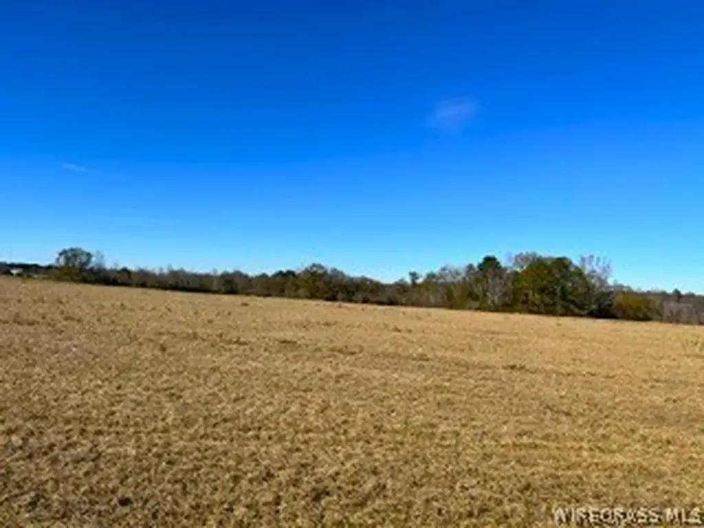 30341 Cool Springs Road Opp AL 36467