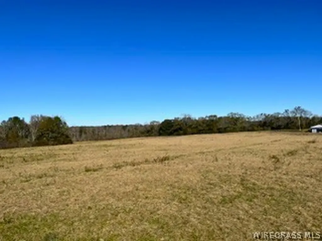 30341 Cool Springs Road Opp AL 36467