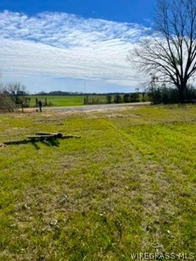 30341 Cool Springs Road Opp AL 36467