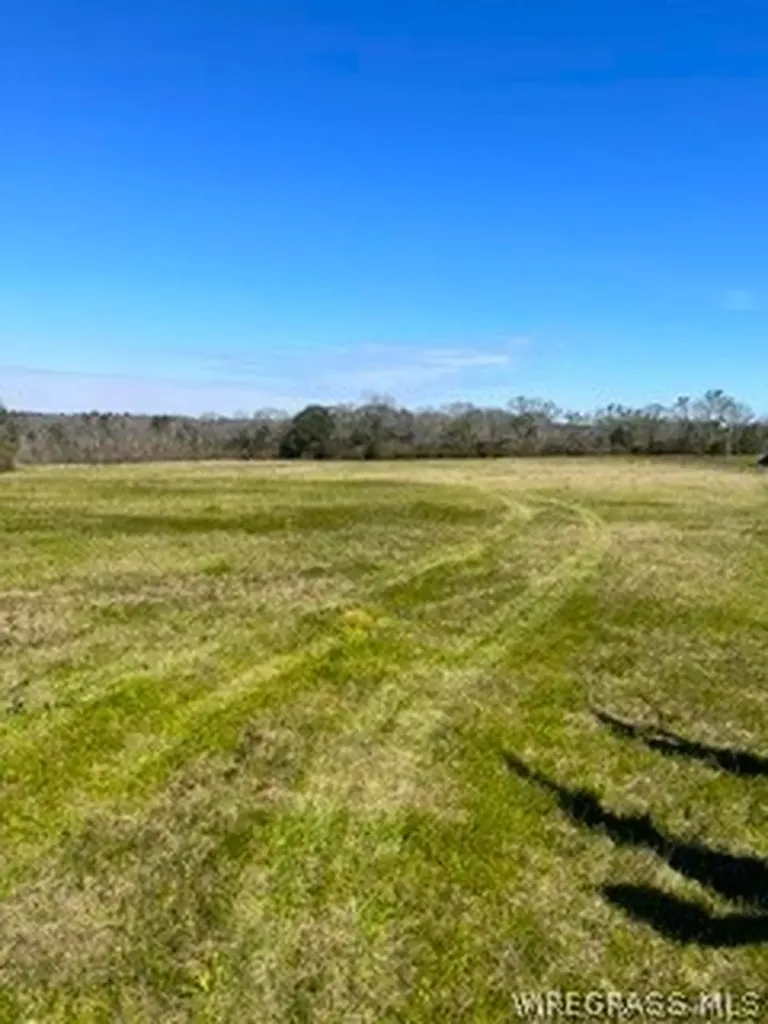 30341 Cool Springs Road Opp AL 36467