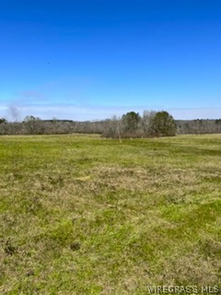 30341 Cool Springs Road Opp AL 36467