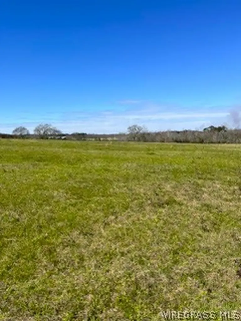30341 Cool Springs Road Opp AL 36467