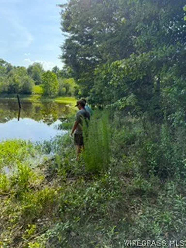 30341 Cool Springs Road Opp AL 36467