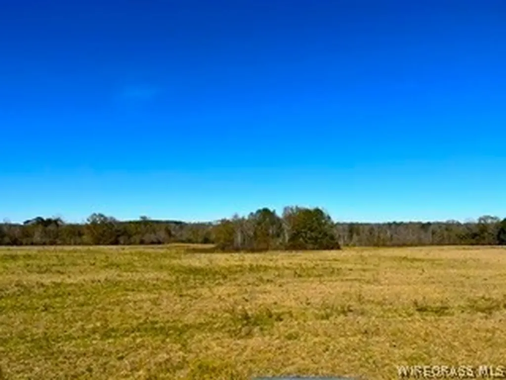 30341 Cool Springs Road Opp AL 36467