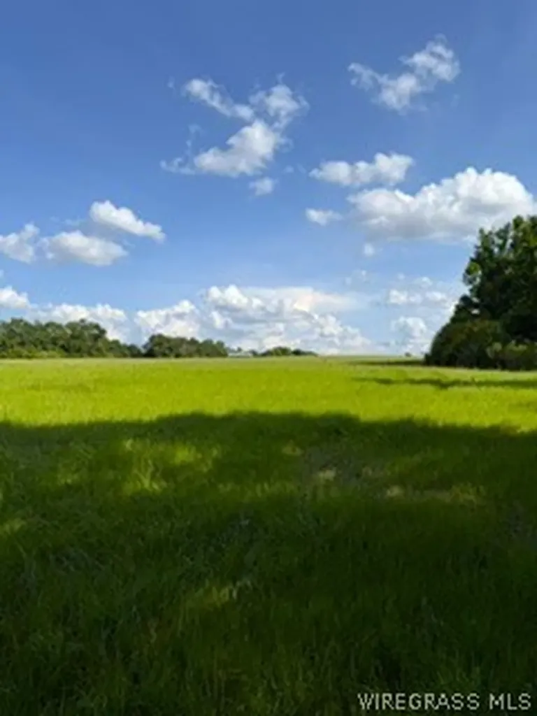 30341 Cool Springs Road Opp AL 36467