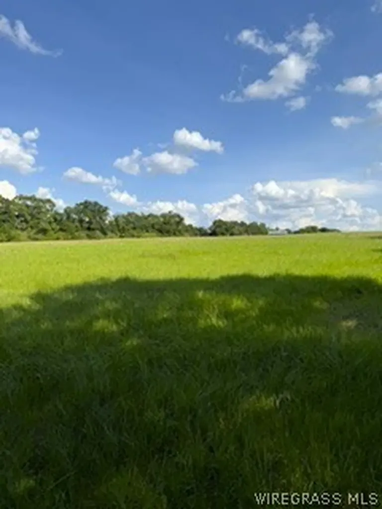 30341 Cool Springs Road Opp AL 36467