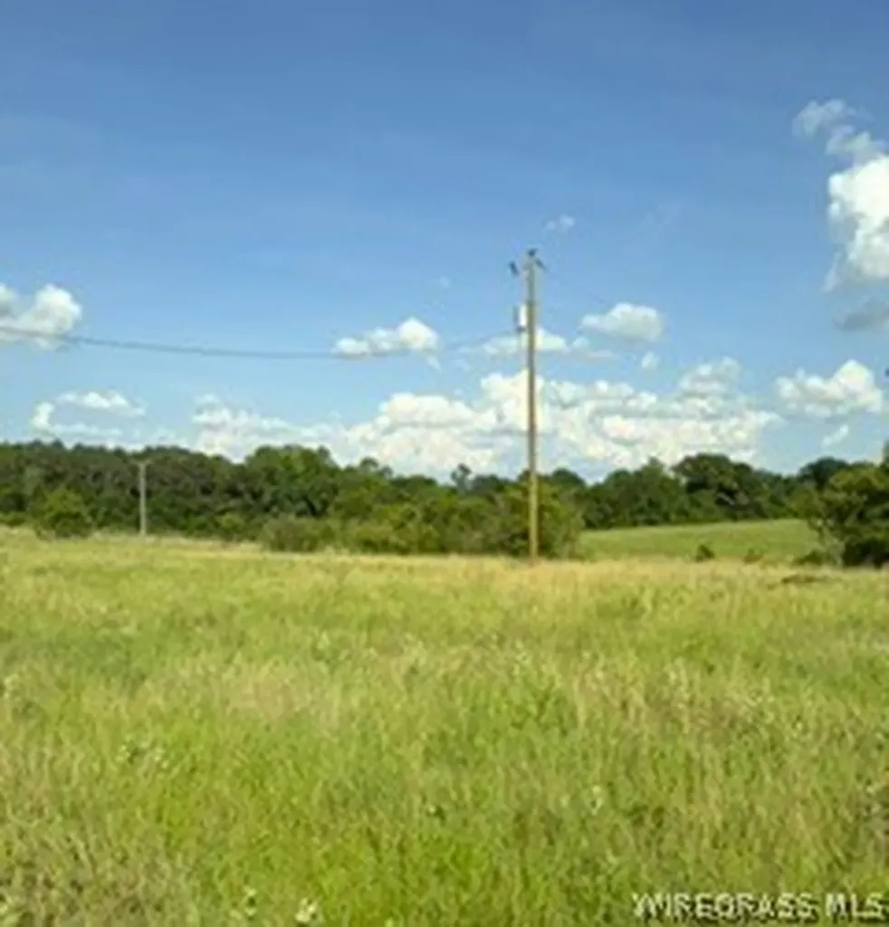 30341 Cool Springs Road Opp AL 36467
