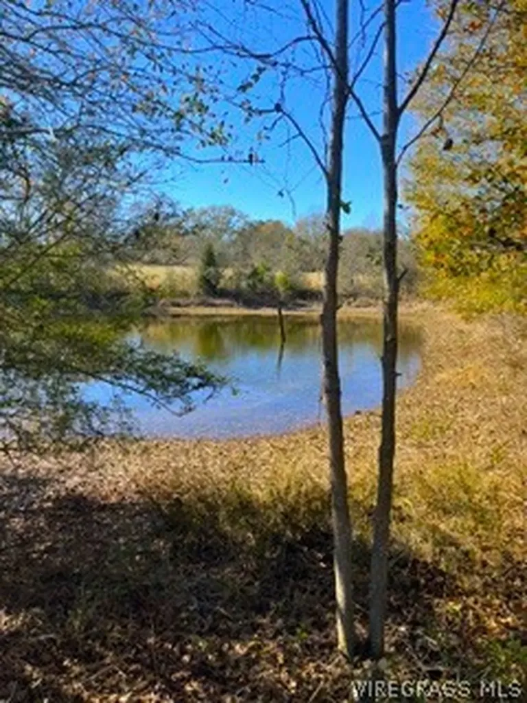 30341 Cool Springs Road Opp AL 36467