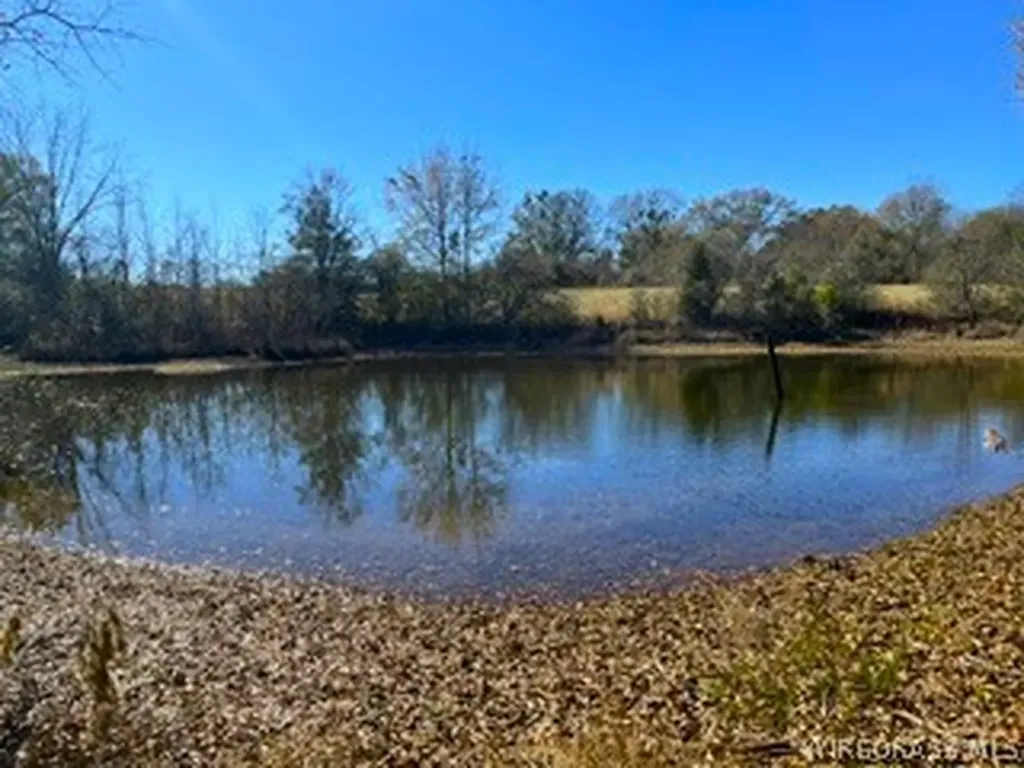 30341 Cool Springs Road Opp AL 36467