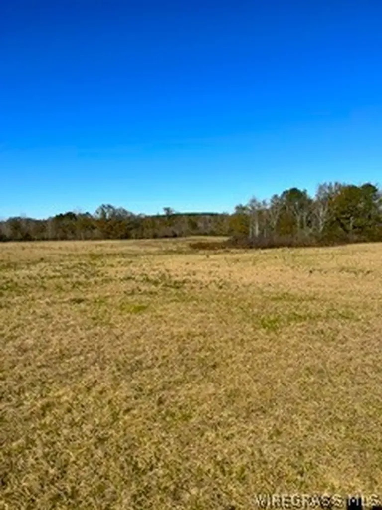 30341 Cool Springs Road Opp AL 36467