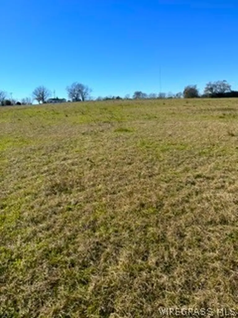 30341 Cool Springs Road Opp AL 36467