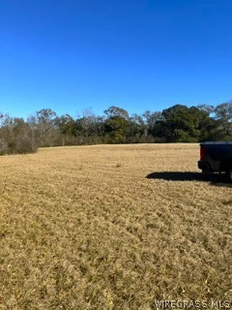 30341 Cool Springs Road Opp AL 36467