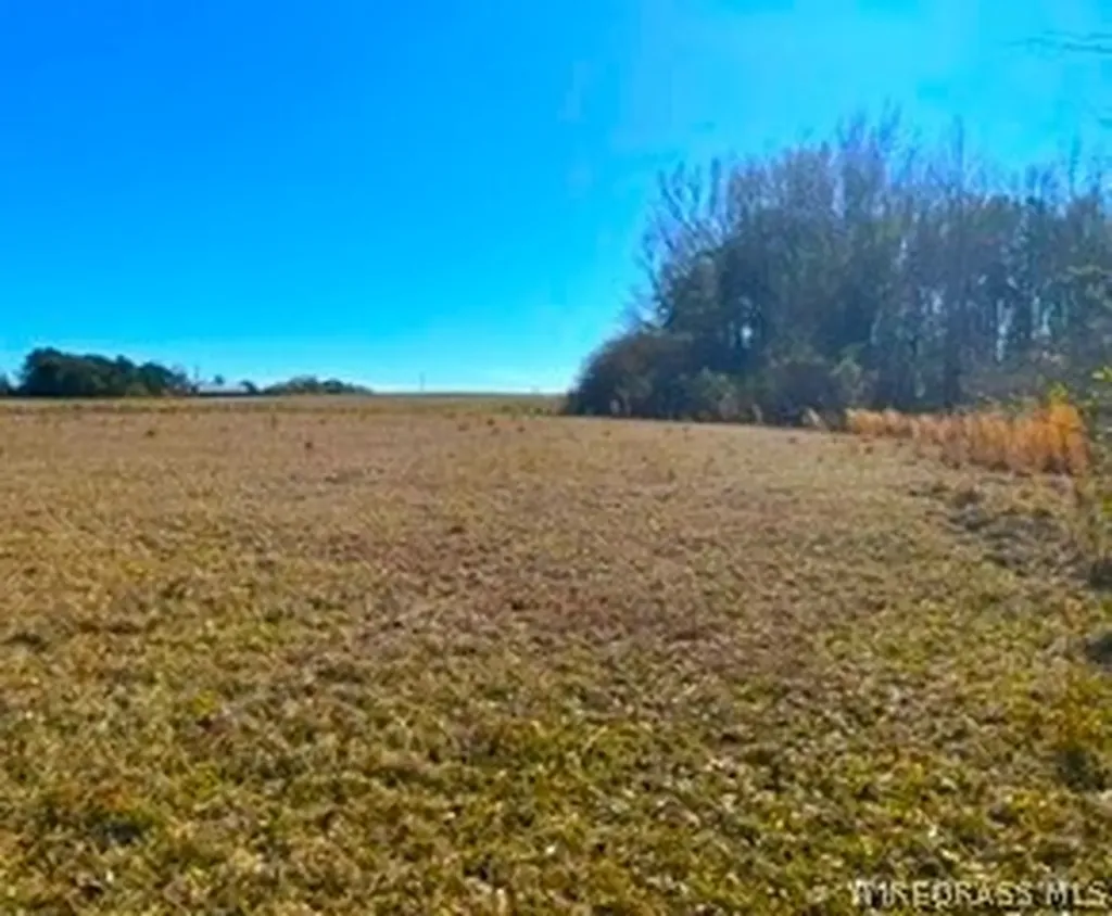 30341 Cool Springs Road Opp AL 36467