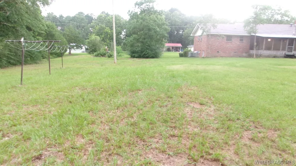 30091 County Line Loop Opp AL 36467