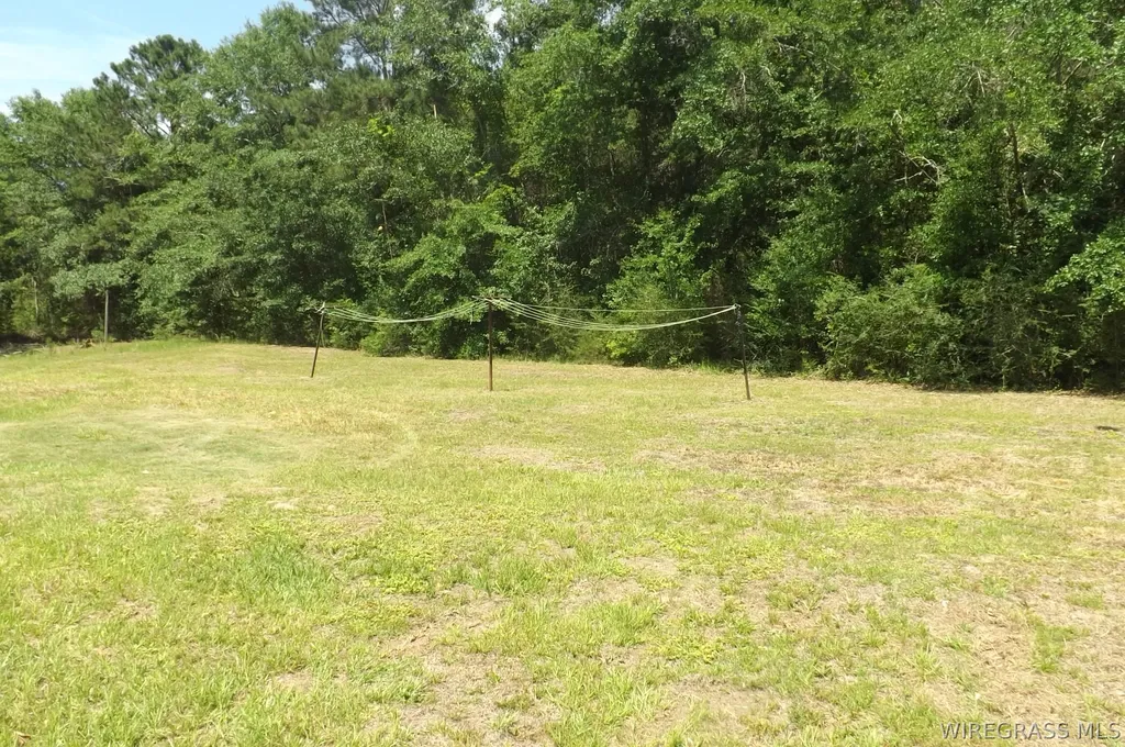 30091 County Line Loop Opp AL 36467